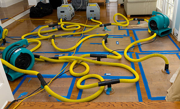 Professional Crawl Space Water Removal technician working in Eccles, WV