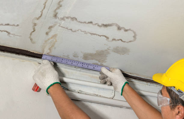 Affordable Water Damage Repair solutions in Eccles, WV